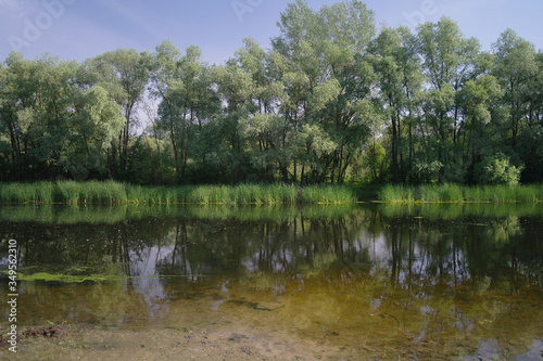Obraz na płótnie river, land with trees and blue sky w salonie