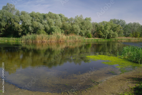 Obraz na płótnie river, land with trees and blue sky w salonie
