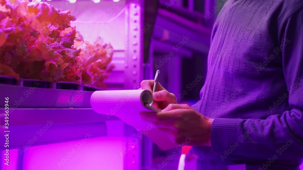 Tilt down side view of middle aged engineer checking leaf vegetable