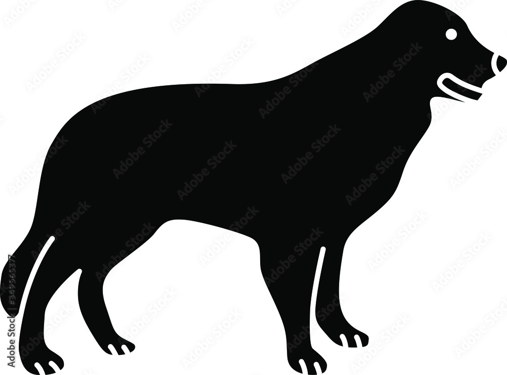 An icon illustration of a Border Collie An icon illustration of a Border Collie