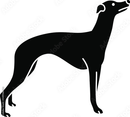 Slika na platnu An icon illustration of a Whippet