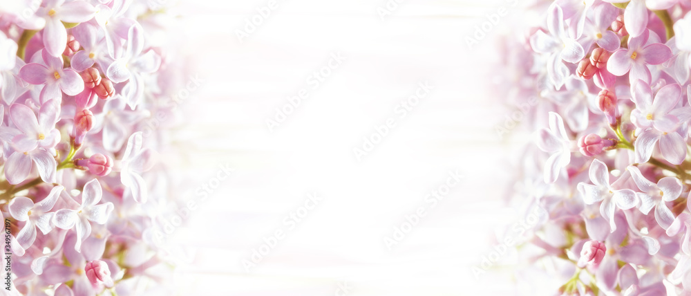 spring banner with lilac flowers, copy space