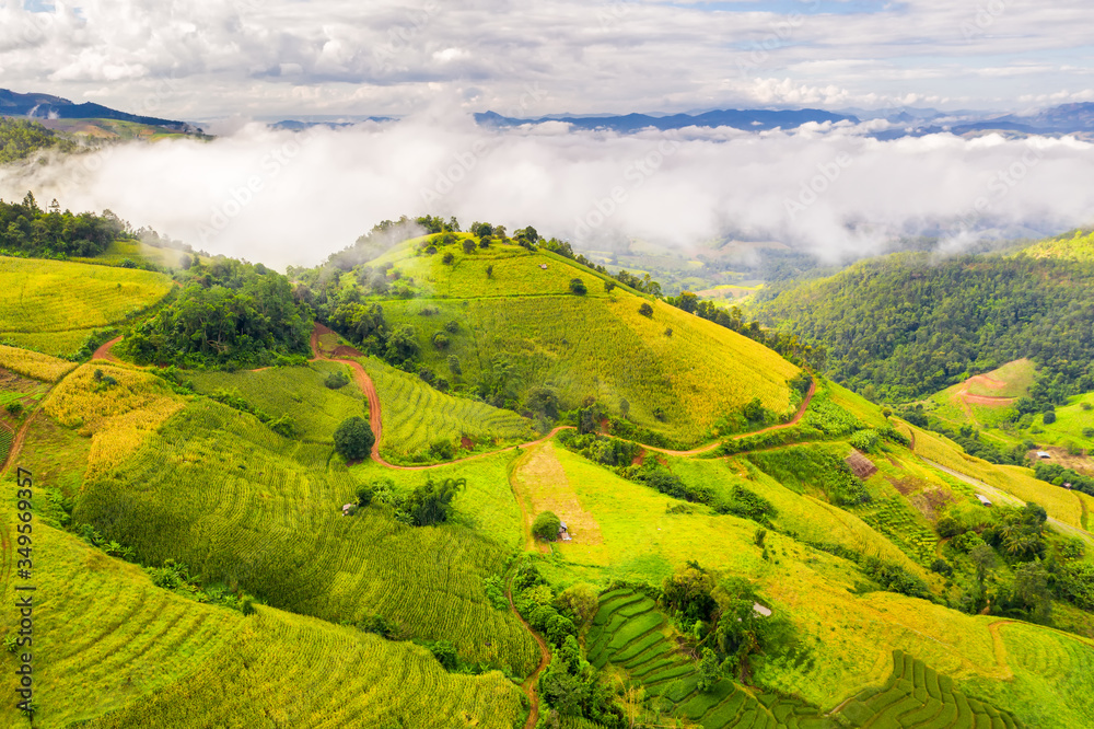 Aerial view green rice field terrace in Asia on background scenery nature landscape with mountain, clouds and fog at sunrise