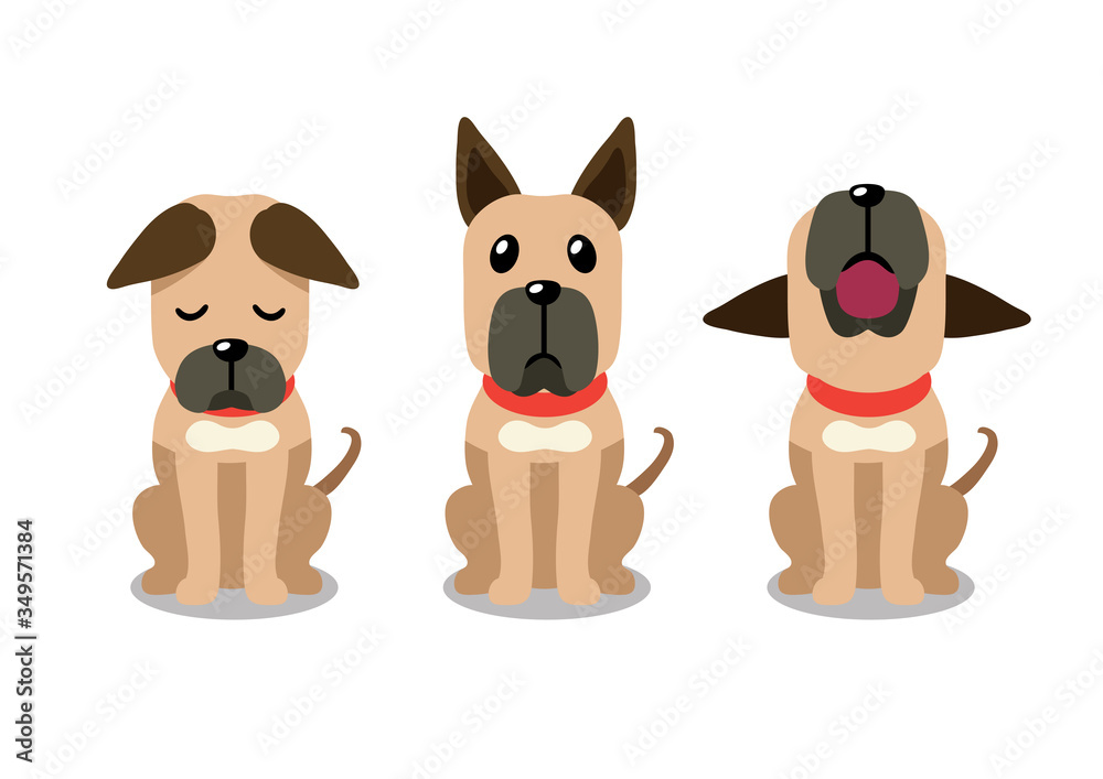 Fototapeta premium Set of vector cartoon character great dane dog poses for design.