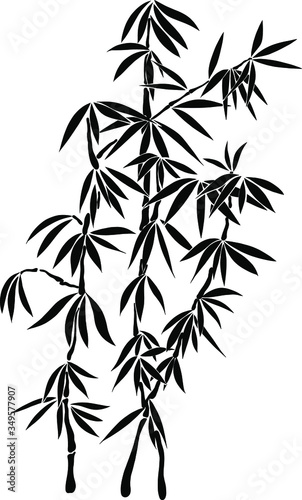 bamboo branch China plant vector