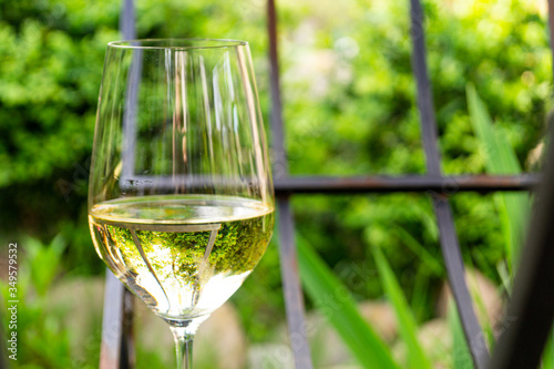 a glass of white wine in the garden among green plants