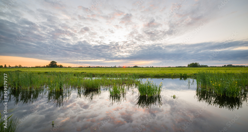 Fototapeta premium Sunset over a wetland in Holland