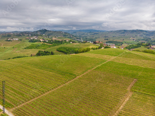 Langhe region, Piedmont, Italy. Vineyards landscape in a cloudy day