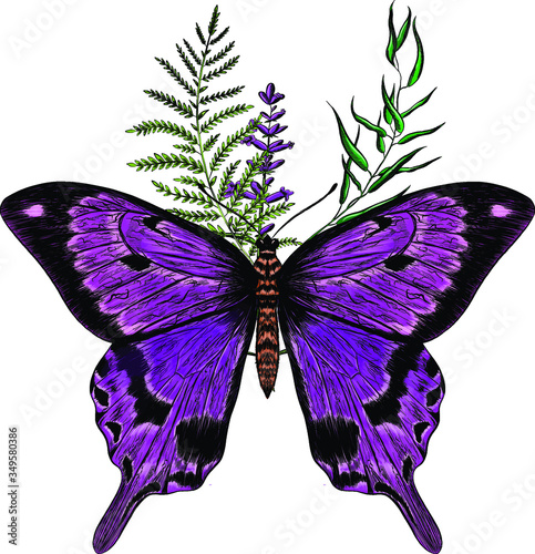 morpho violet butterfly with green plants