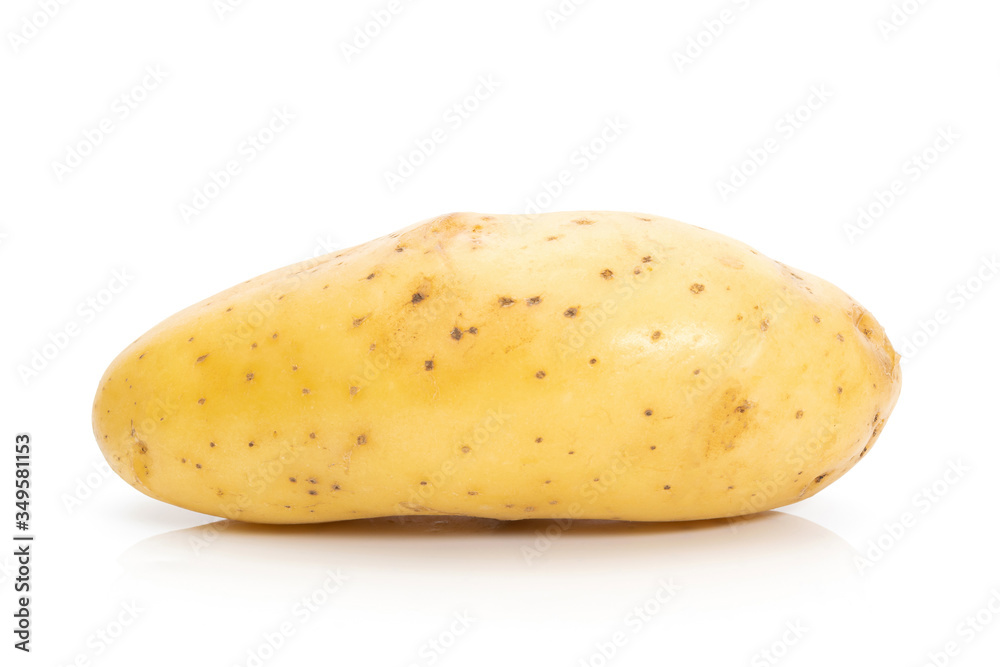 Potato raw on a white background Potato raw on a white background