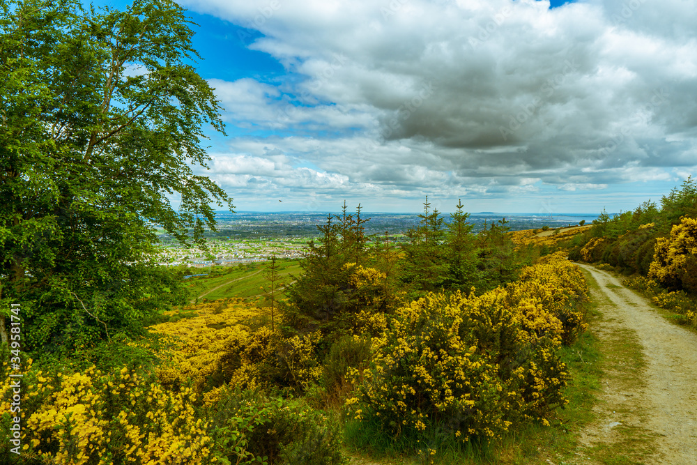 Naklejka premium Dublin from the mountains