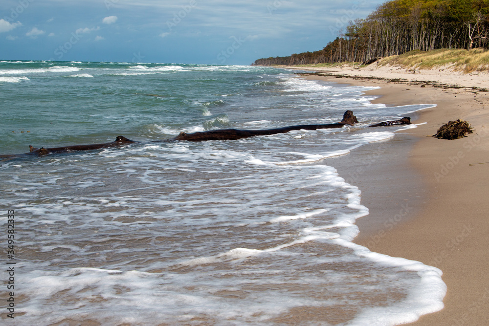 Fototapeta premium Weststrand Born a Darß