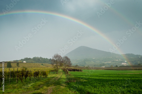 Rainbow over the vineyards in north italy after a storm in the italian Euganean Hills, Padua - Veneto