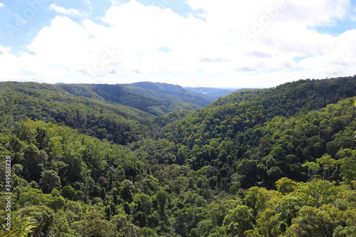 View across the Rainforest