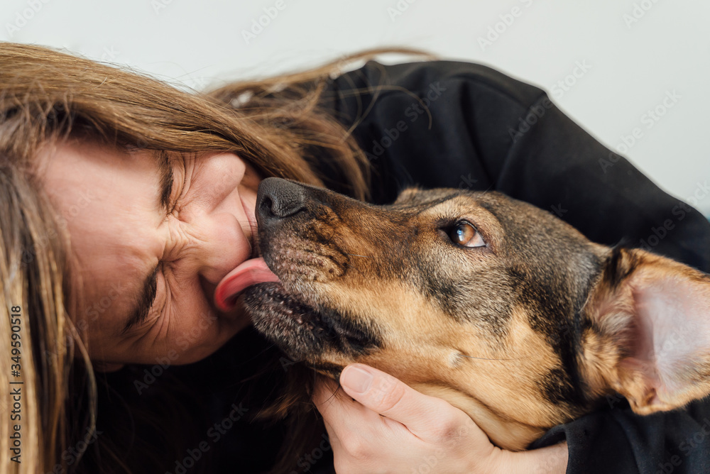 Young woman laughing with her dog licking her face. Dog licking a girl