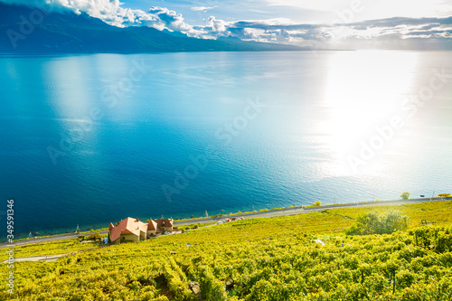 Lavaux, Switzerland: Lake Geneva and the Swiss Alps landscape seen from Lavaux vineyard tarraces in Canton of Vaud