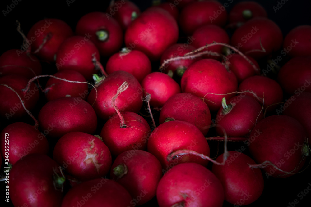 European spring fresh radish. Black background. European spring fresh radish. Black background.