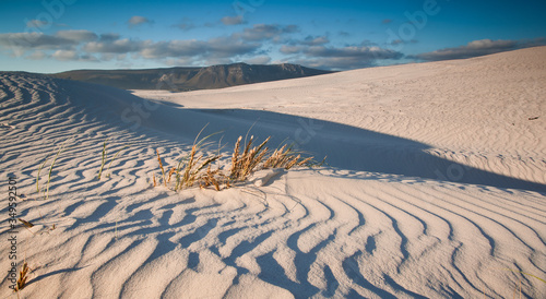 landscape with sand dune and ripples in the sand 