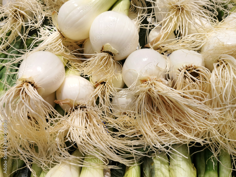 fresh onions, white onions and green onions, bunches with roots
fresh onions, white onions and green onions, bunches with roots