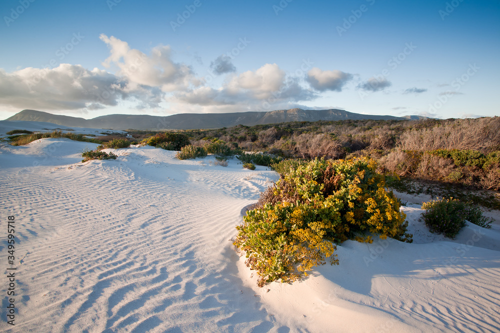 Landscape image of sand dunes with clouds and ripples in the sand Landscape image of sand dunes with clouds and ripples in the sand