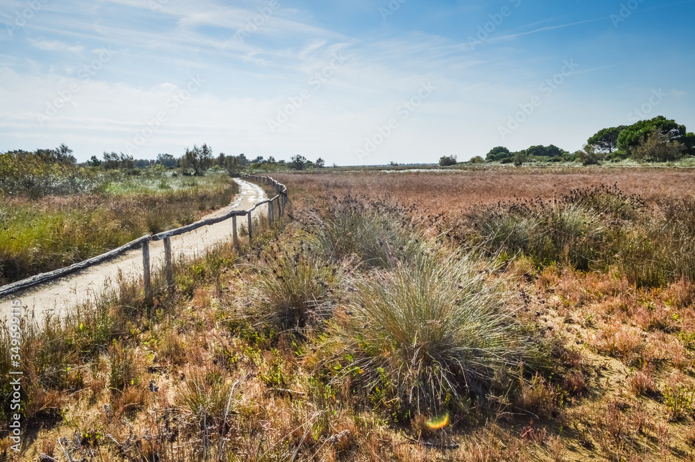 Footpath to the sea by the Po river delta in mediterranean coastline - north italy Footpath to the sea by the Po river delta in mediterranean coastline - north italy