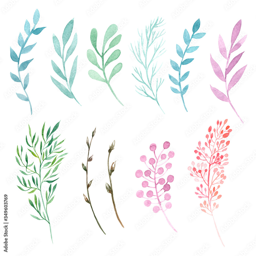 Set of watercolor delicate branches isolated on white background. Hand-painted watercolor design elements Raster illustration. Set of watercolor delicate branches isolated on white background. Hand-painted watercolor design elements Raster illustration.