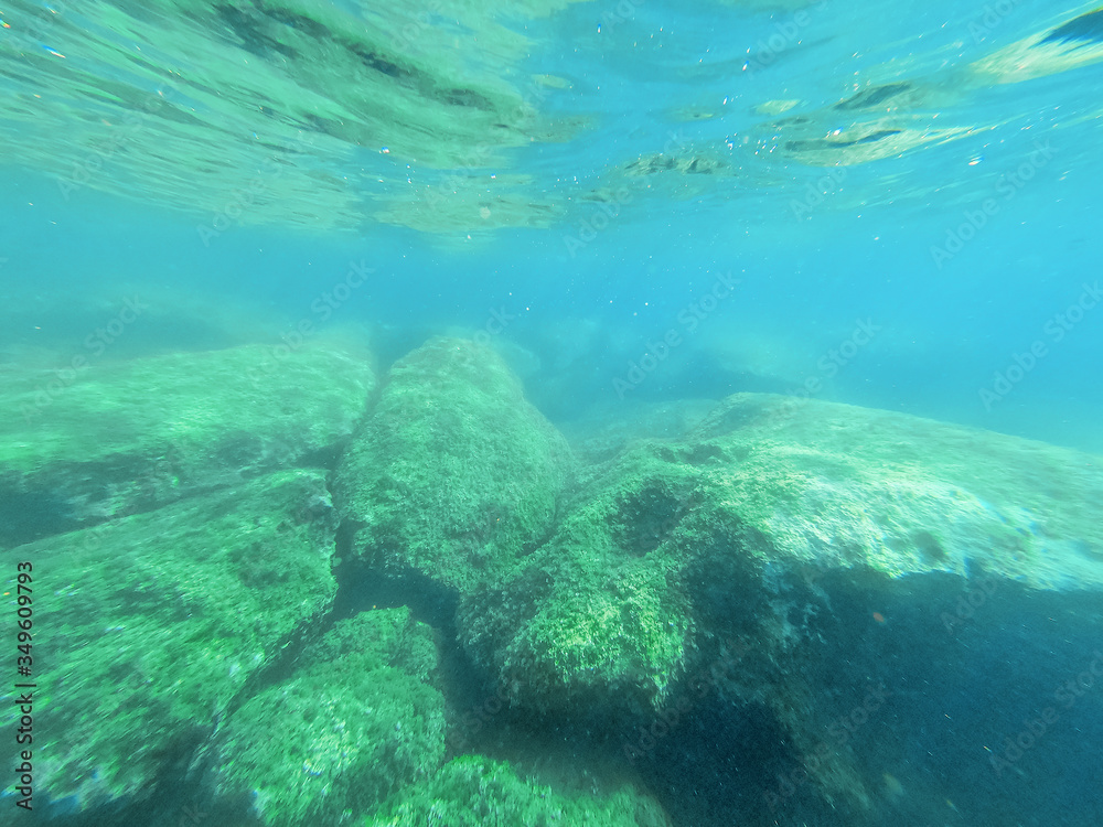 Underwater view of Alghero rocky coast Underwater view of Alghero rocky coast