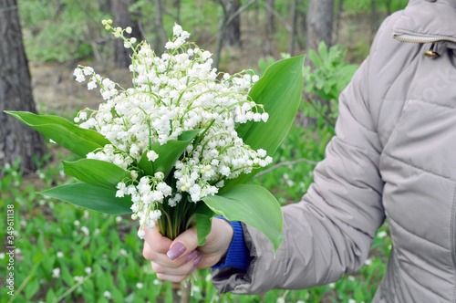 Lilies of the valley. Bouquet of lilies of the valley in a female hand.