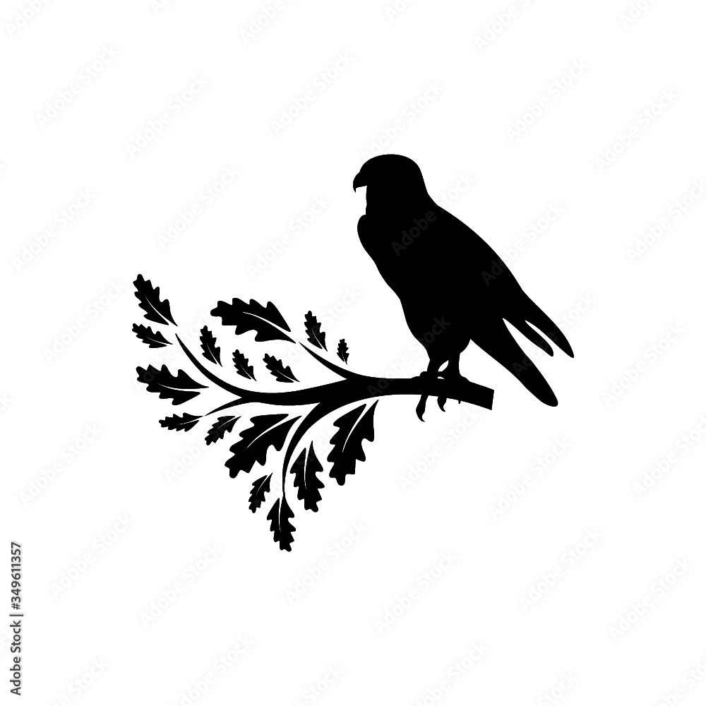 Fototapeta premium Falcon Logo silhouette Design icon isolated on white background