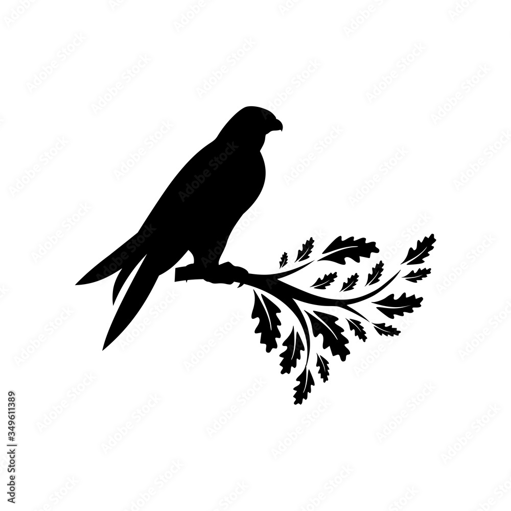 Fototapeta premium Falcon Logo silhouette Design icon isolated on white background