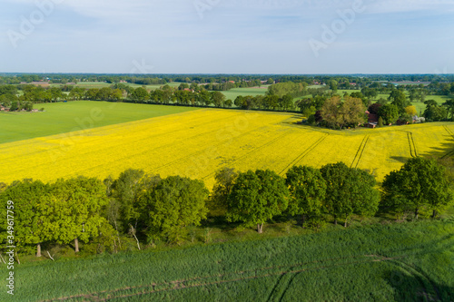 Grüne Felder im Mai aus der Luft aufgenommen