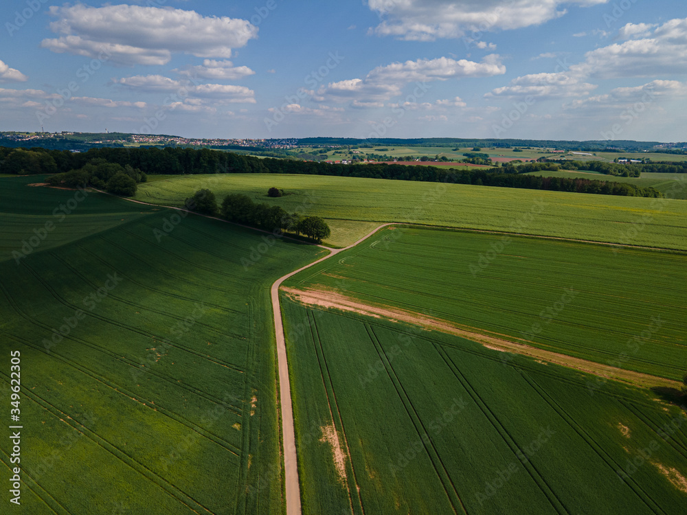 Path through farmland and green nature - aerial view by drone