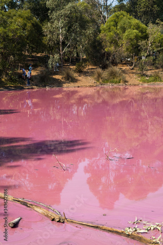 pink lake in the forest photo