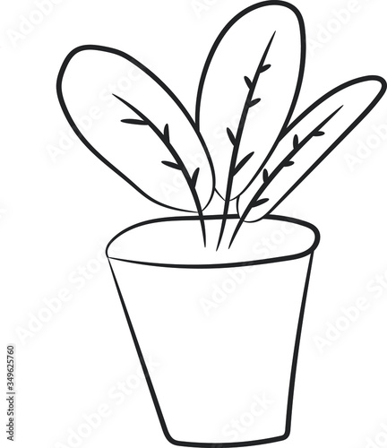 Single plant in a pot  on a white background, hand drawing. Isolated. For print, card, site, poster.