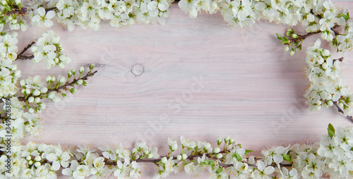 Spring flowers on wooden table background. Plum blossom. Top view