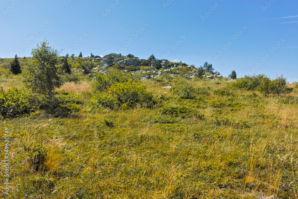 Obraz premium Autumn view of Vitosha Mountain, Bulgaria