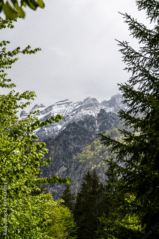 Huge mountain with some trees in the foreground, beautiful mountain landscape in austria