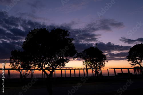 Trees in silhouette, sunset at the beach