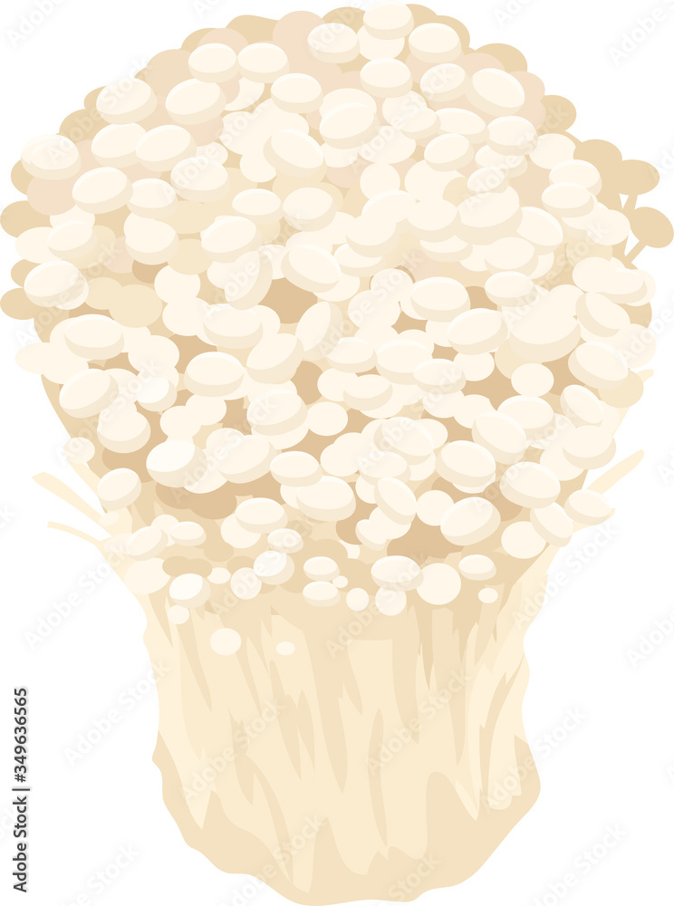 イラスト素材 えのきだけ エノキ きのこ キノコ 秋 料理 ベクター Stock Vector Adobe Stock