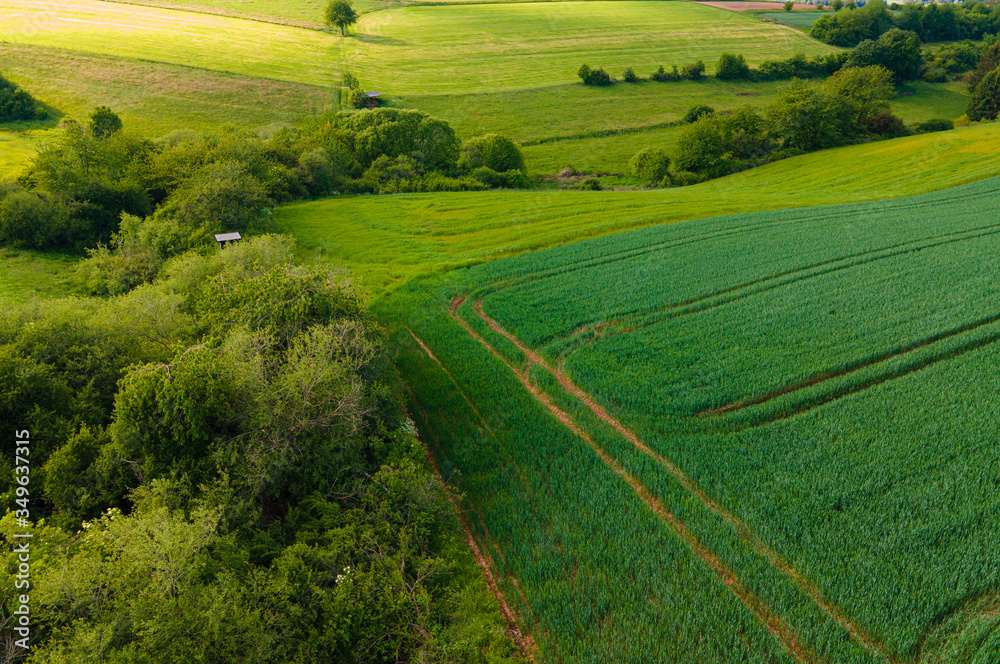 Agricultural fields from above - wonderful nature - aerial view by drone