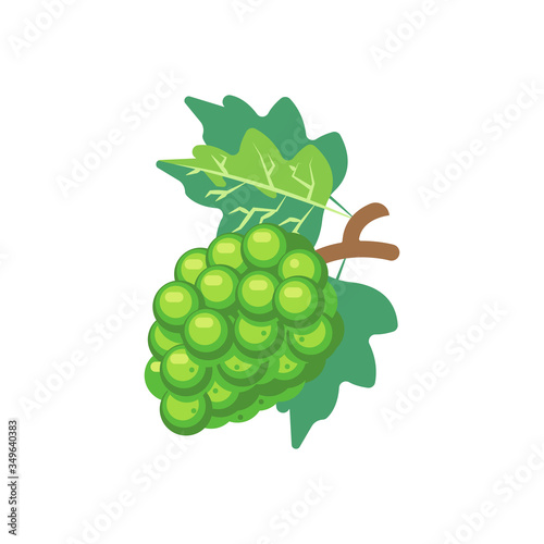 Green Grapes vector Illustration - Bunch of green grapes with stem and leaf isolated on white background