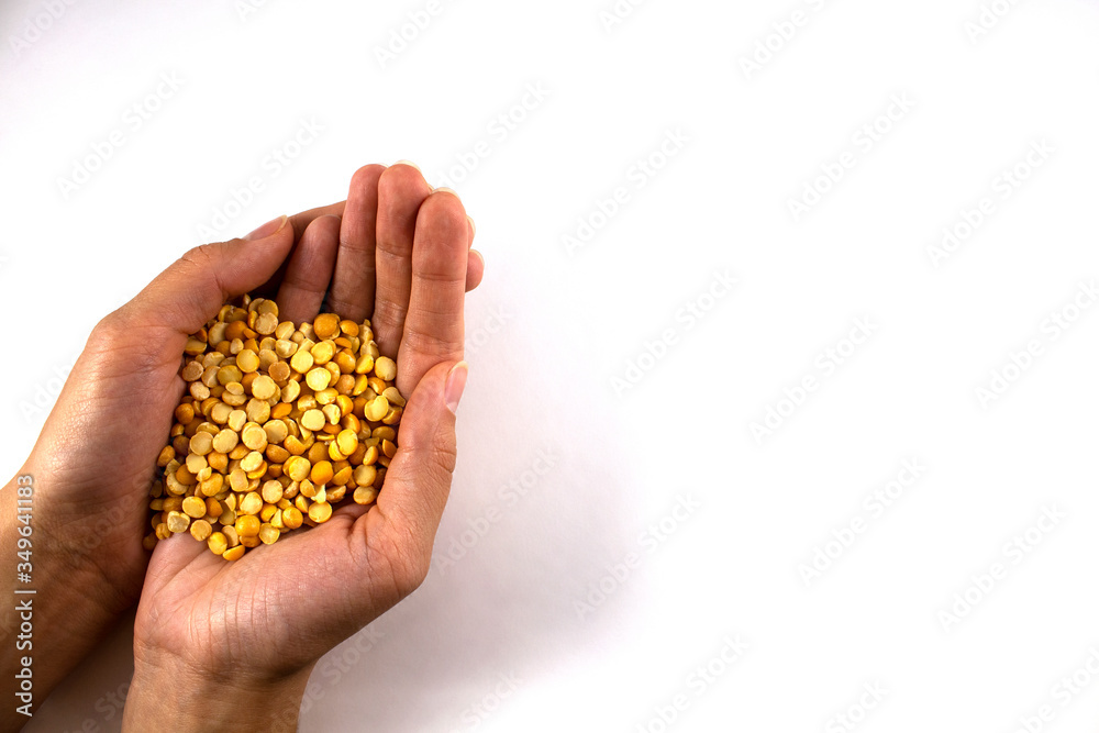 Yellow peas in hands on a white background Yellow peas in hands on a white background
