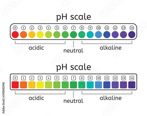 vector ph scale set of acidic, neutral and alkaline value chart