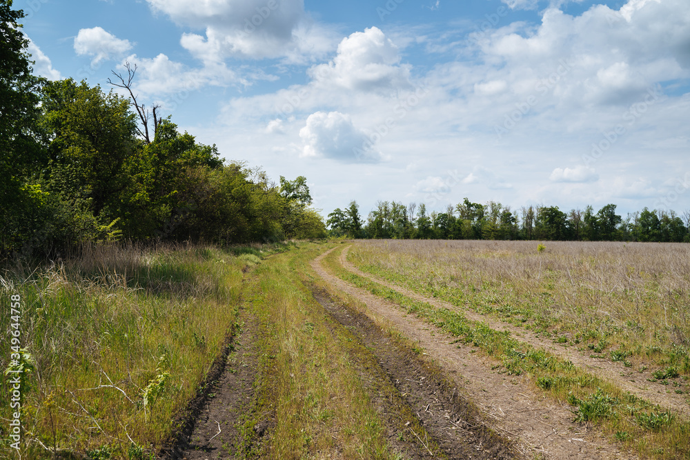 Landscape. Field, road, trees, clouds in the sky.