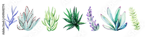 Watercolor set of bright hand drawn succulents