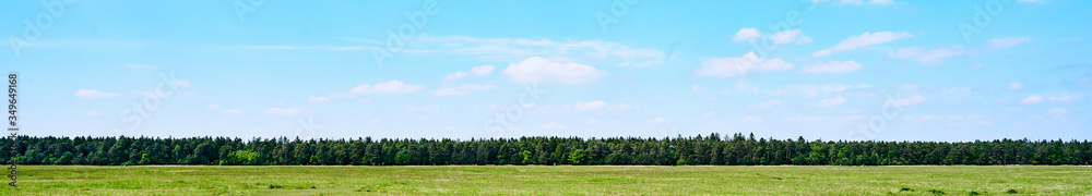 Wald Streifen Horizont mit blauem Himmel und Wise als HIntergrund Banner Wald Streifen Horizont mit blauem Himmel und Wise als HIntergrund Banner