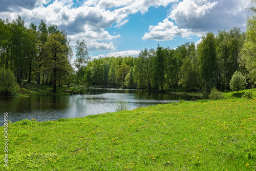 Fototapeta Naklejka Na Ścianę i Meble -  Beautiful countryside landscape. Green meadow and river. Spring Summer. Russia.