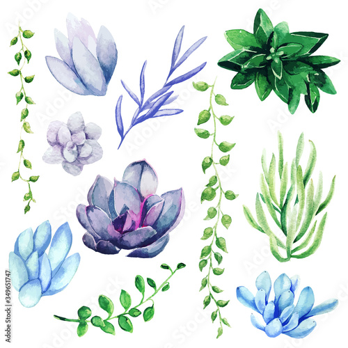Watercolor set of bright hand drawn succulents, hand drawn