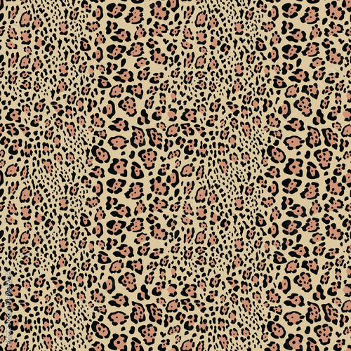 Seamless pattern of leopard and Jaguar. The skin of a wild animal in the vector  print