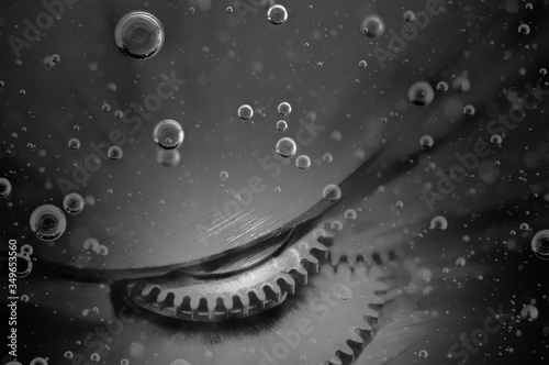 Metal gears in liquid or oil with bubbles. Black-and-white. Oil change in mechanisms, engines, motors